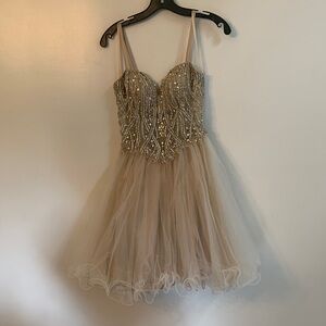 Champagne Beaded Tulle Dress